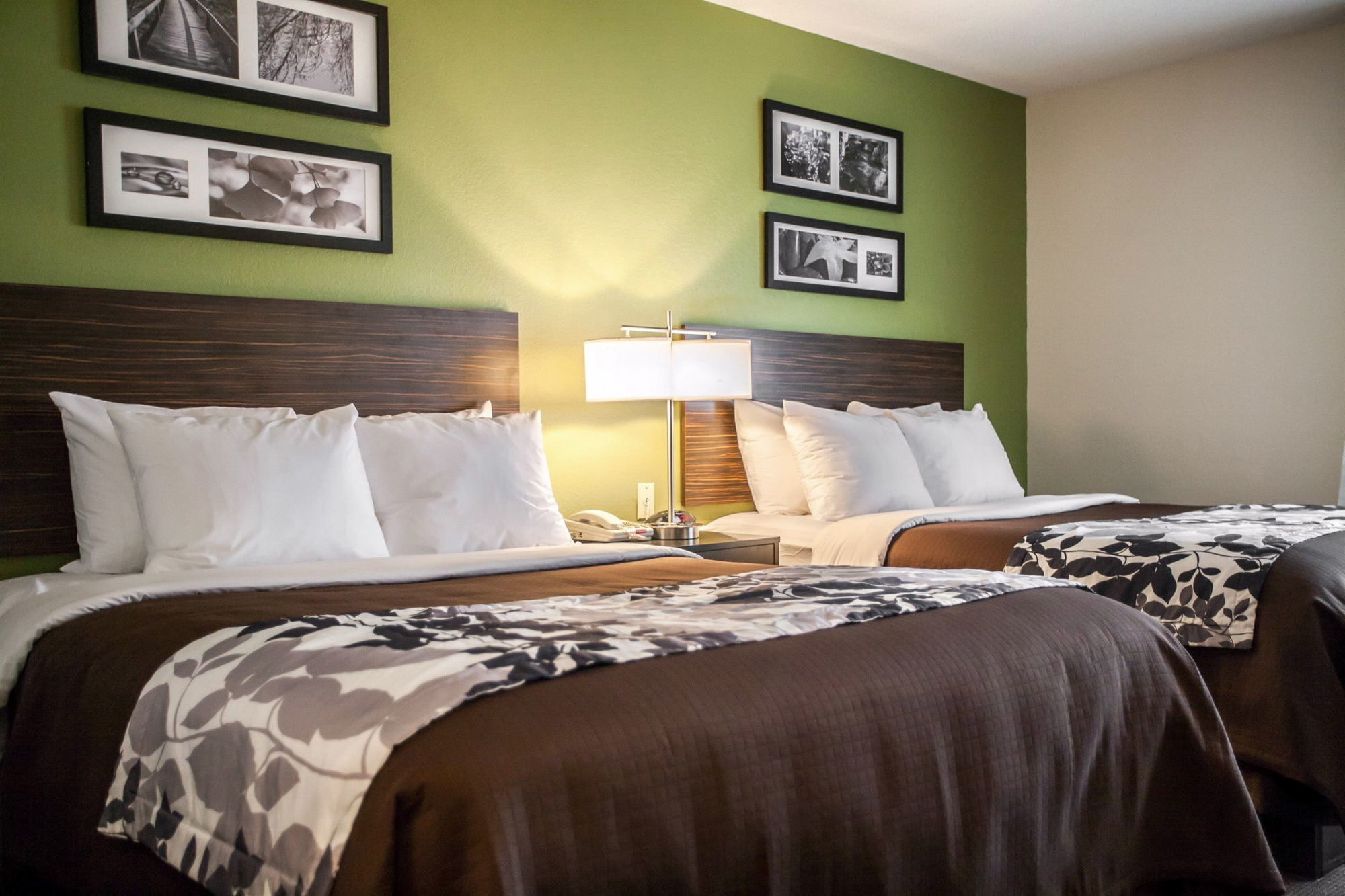 Sleep Inn & Suites Metairie Quarto foto